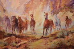 Animals
